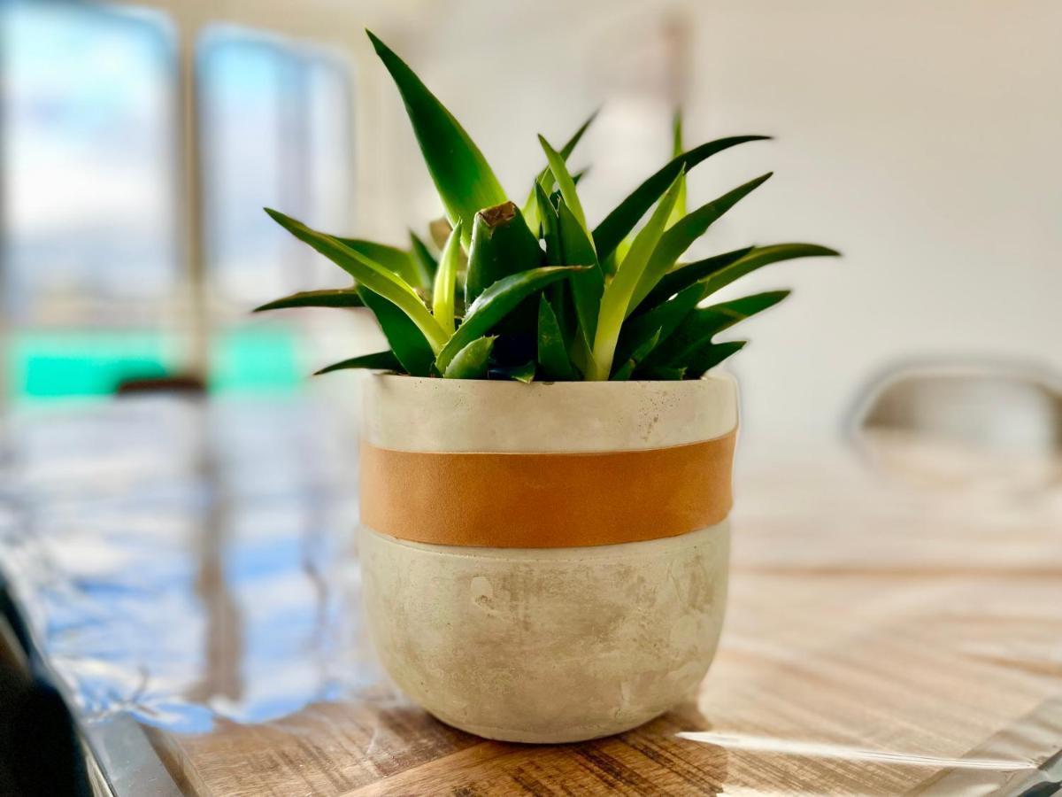 Appartamento Colmar - La Cigogne - Balcon - Vue Degagee - Netflix - Wifi Fibre - Parking Gratuit - Quartier Populaire Esterno foto